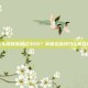 DNF怎么堆属强超过300？掌握这些技巧让你轻松超越！
