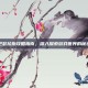 巴瑟拉斯攻略指南，深入探索游戏世界的秘密