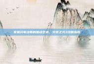 掌握闪电法师的加点艺术，火炬之光3攻略指南