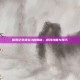 探索纪念碑谷3的奥秘，游戏攻略与技巧