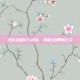 火影忍者658话，揭秘忍界新纪元