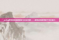pubg账号皮肤深度解析与玩法攻略——解锁虚拟世界的个性化魅力