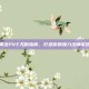 奥法PVE天赋指南，打造你的强力法师军团