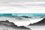 BWL，终极副本的攻略与技巧