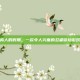 鸣人的假期，一款令人兴奋的忍者冒险游戏