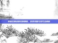 掌握狂暴战属性的精髓，游戏攻略与技巧全解析