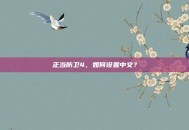 正当防卫4，如何设置中文？
