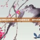 龙之谷团购仓库攻略，高效利用资源，提升游戏体验