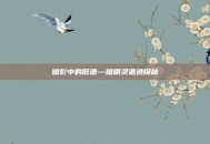 暗影中的低语—暗精灵遗迹探秘