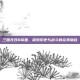 三国无双8帝国，探索历史与战斗的完美融合