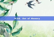 龙之谷，Out of Memory