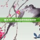 霸王之枪，揭秘游戏中的终极武器