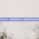 NBA2005，篮球传奇的再续，如何成为球场上的王者？