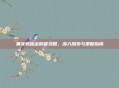 黑龙教秘密殿堂攻略,深入探索与策略指南