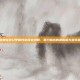 斗战神龙女幻甲属性选择全攻略，暴力输出的最优解与避坑指南