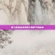 深入探索虐杀原形2黑匣子的秘密