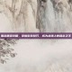 阻击精英攻略，掌握游戏技巧，成为战场上的狙击之王