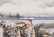 DNF如何巧妙偷渡？