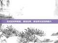 实况足球单机版，重温经典，体验真实足球的魅力