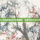CF绿色联盟活动全面解析，攻略与技巧大公开