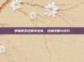 掌握使命召唤突击队,终极攻略与技巧
