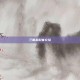 三国杀配音介绍