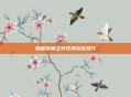 揭秘黎明之光任务完成技巧