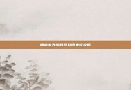 魔兽世界暗月马戏团坐骑攻略