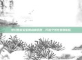 梦幻西游宝宝加点模拟器，打造个性化宠物队伍