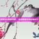 掌握S6诺克天赋，英雄联盟中的终极战士