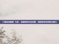 三国志战略版 九游，深度解读玩法攻略，解锁游戏中的核心魅力