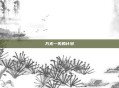 万无一失的计划