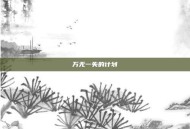 万无一失的计划