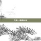万无一失的计划