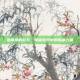 银角狰的鬃毛，揭秘游戏中的隐藏力量