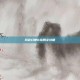风色幻想6结局全攻略