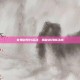 女鬼剑预约活动，揭秘游戏新动态