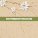 星际争霸破解版无限资源攻略