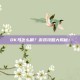 DK马怎么刷？游戏攻略大揭秘！
