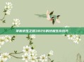 掌握求生之路3826的终极生存技巧