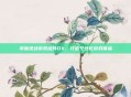 掌握逆战游戏组件DX，打造个性化游戏体验