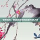 飞升以后，揭秘游戏中的终极升级之道