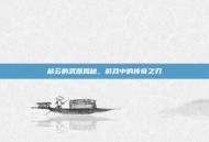 赵云的武器揭秘，游戏中的传奇之刃