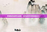 掌握新合金弹头秘籍，成为游戏中的终极战士！