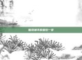 脑袋捕手的最后一夜