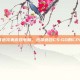 打造完美游戏电脑，选择适合CS:GO的CPU