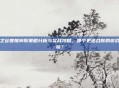 龙之谷兽娘转职策略分析与实战攻略,哪个更适合你的游戏之旅?