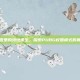 校园里的绝地求生，探索PUBG校园模式的奥秘