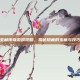 宝藏传奇游戏攻略，揭秘隐藏的宝藏与技巧
