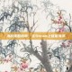 海战策略指南，在Steam上征服海洋